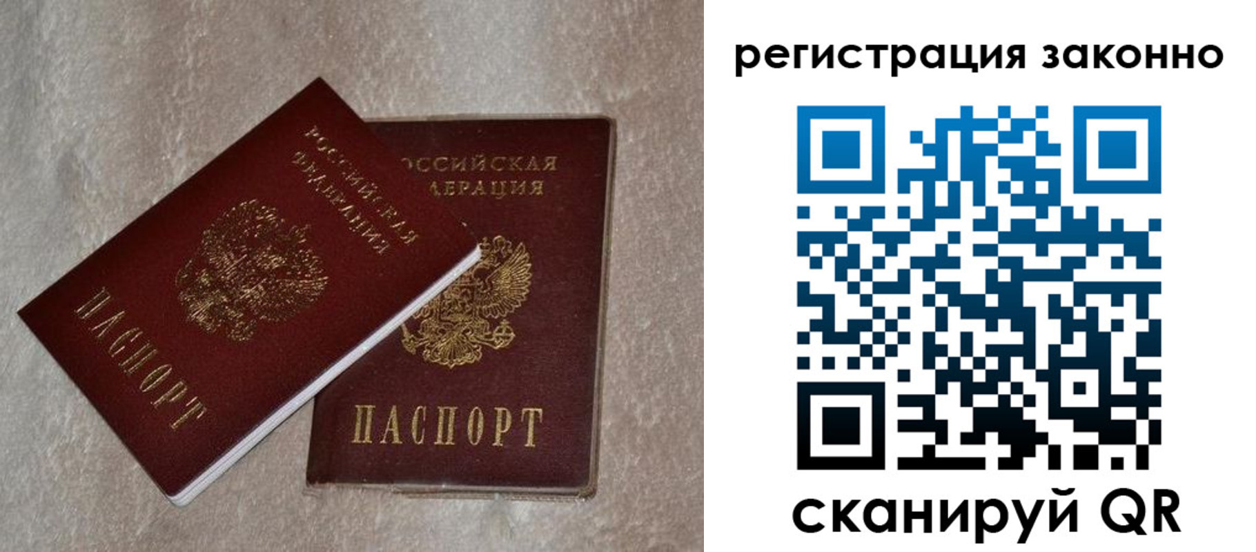 прописка законно в Сольцах